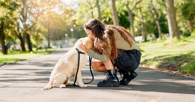 pet 6.jpg
