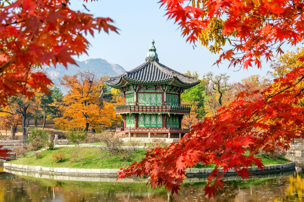 seoul 11.jpg